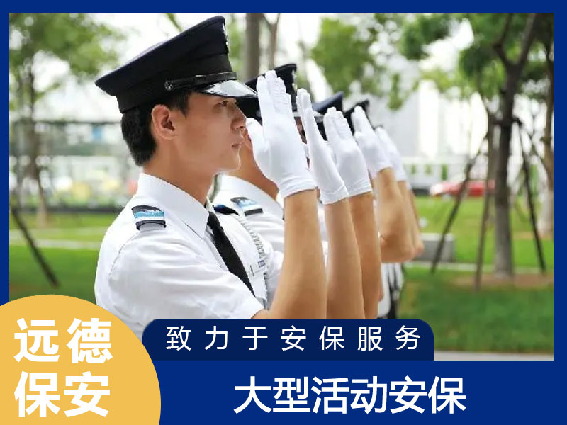 松江大型活动现场安保